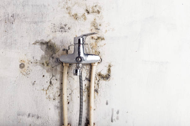 Best Mold Testing  in Moorpark, CA