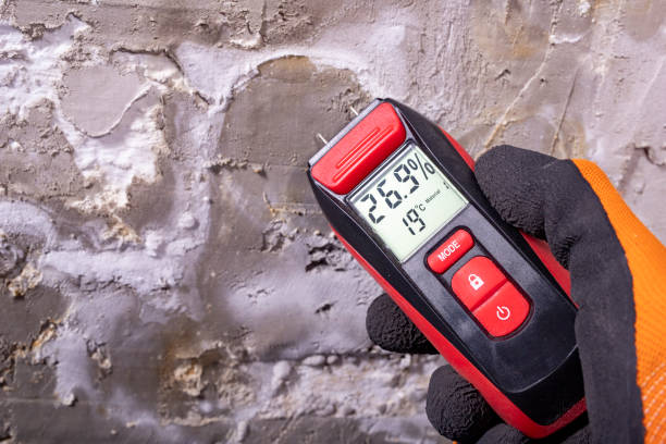Best Home Mold Removal  in Moorpark, CA