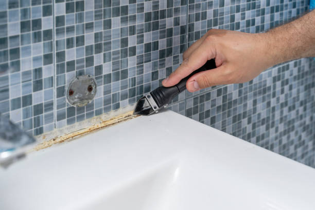 Best Attic Mold Removal  in Moorpark, CA
