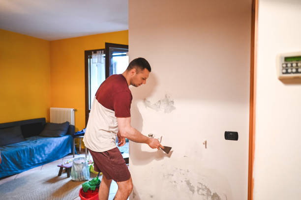 Best Emergency Mold Removal  in Moorpark, CA