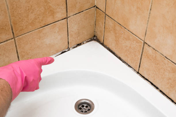 Best Mold Testing  in Moorpark, CA